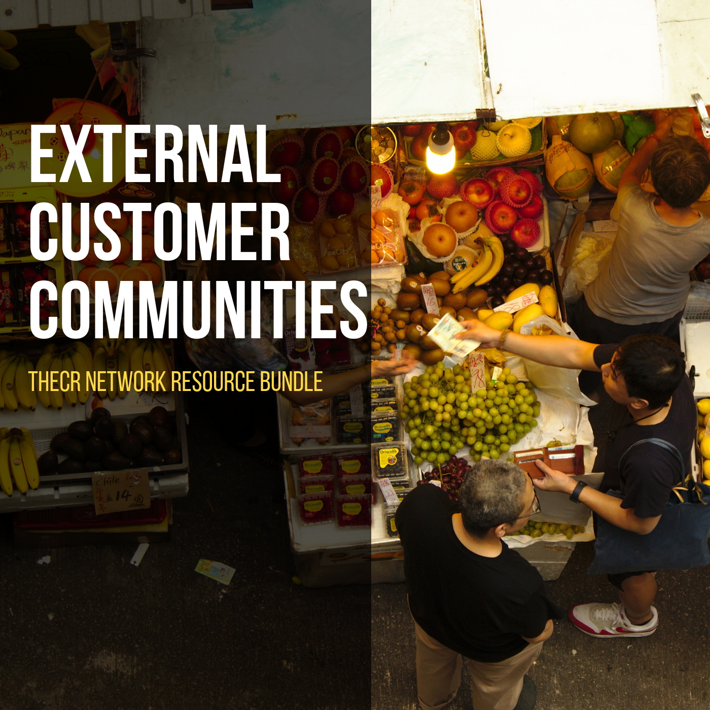 Digital Customer Communities. Resources for Community Managers.