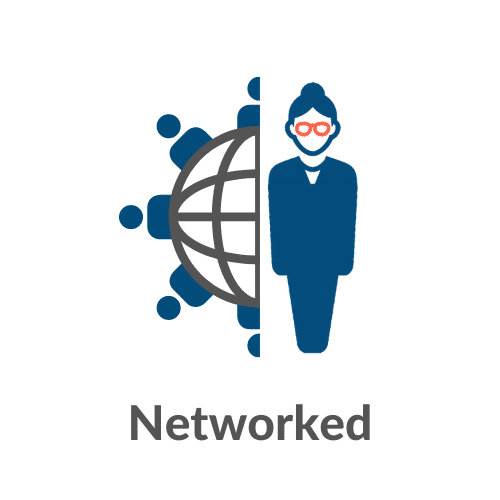 SE-2021-Icon-Networked