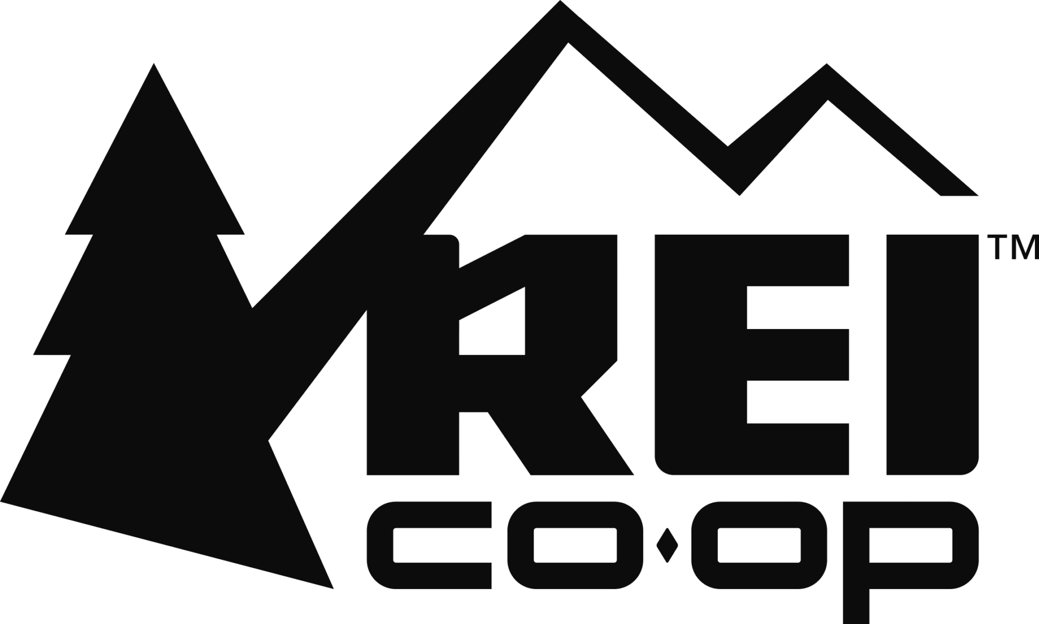 REI Co-op logo with a pine tree and mountain imagery