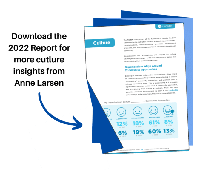 Anne Larsen on Community Culture