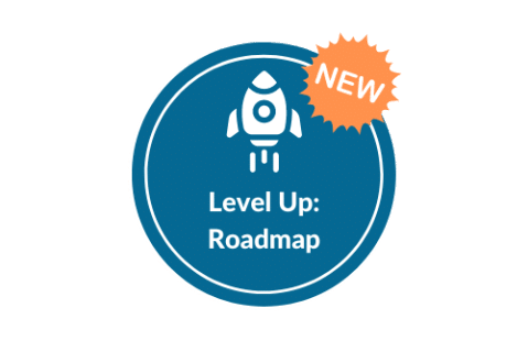 1690983278_LevelUp-Roadmap-Academy-IconNew