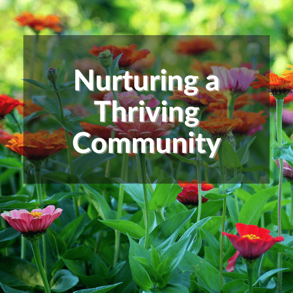 Nurturing a Thriving Community: Insights from UiPath