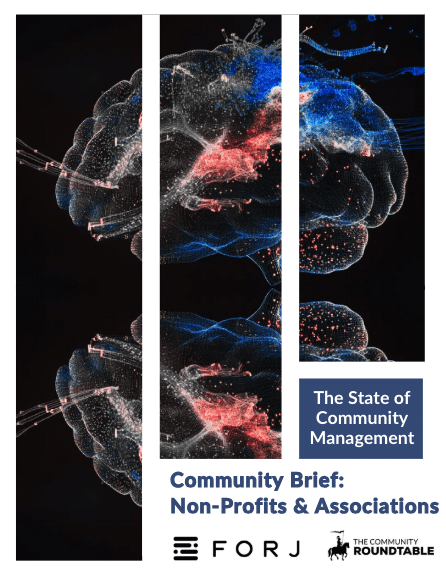 NFP-A-CommunityBrief Three picture segments of a brain with the title Community Brief: Non-Profits and Associations
