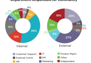 community responsibilities
